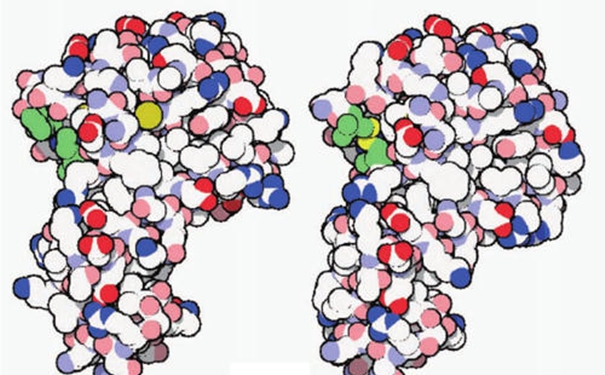 【進口酶清關代理】的流程,一般貿易進口酶 進口酶清關代理