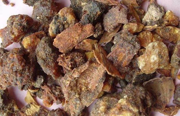 1624009666733965.jpg 沒藥進口報關代理_副本.jpg