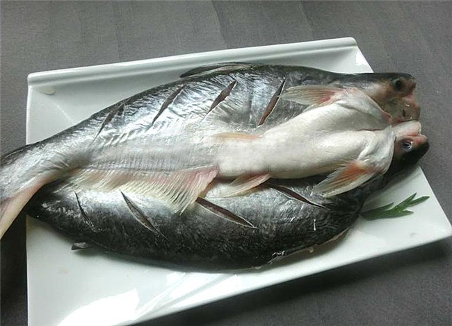 1591415335684666.jpg 冷凍巴沙魚進口報關