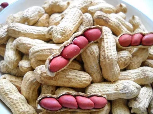 1638359170278940.jpg 花生進口清關代理需要的資質(zhì)以及資料_副本.jpg