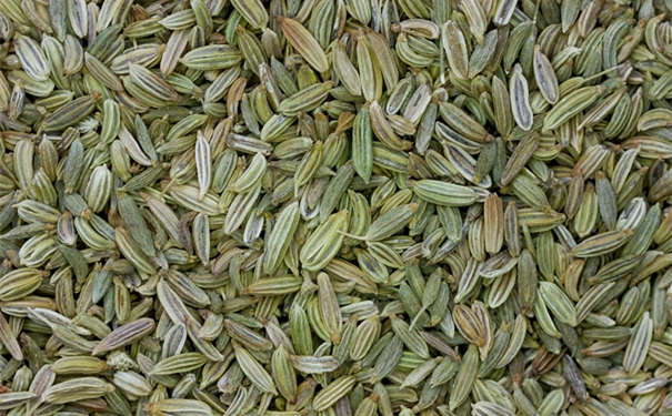 1610010328870698.jpg VCG41N1223229047_副本.jpg