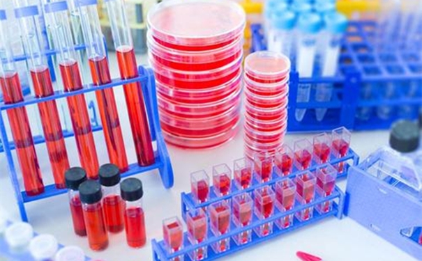 進口生物試劑清關(guān)時效以及流程 進口生物試劑清關(guān)