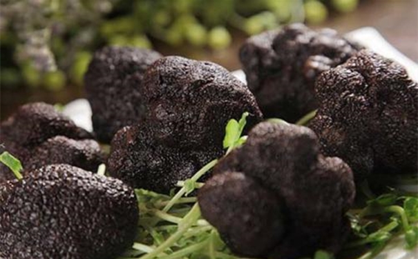 一般貿(mào)易進口松露清關(guān)代理的流程 進口松露清關(guān)代理