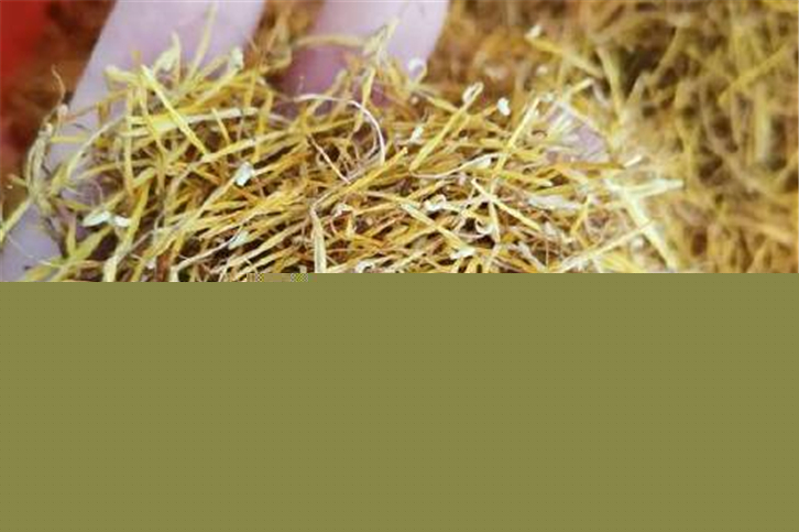 1649843920578252.jpg 中藥材蓮須進口報關(guān).jpg