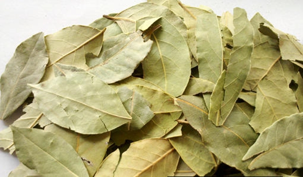 進口香葉清關(guān)代理公司