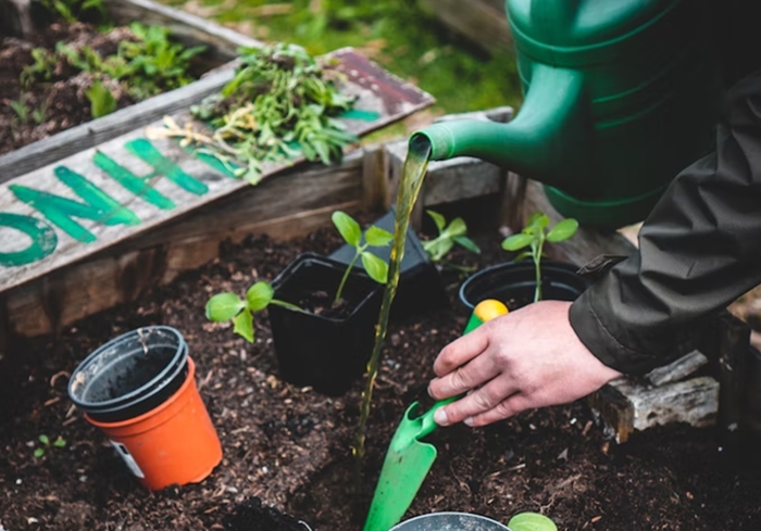 1673863015275002.jpg 植物培養(yǎng)液進(jìn)口報(bào)關(guān)報(bào)檢流程1.jpg
