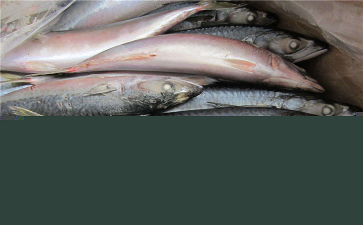 俄羅斯水產品進口報關代理公司 俄羅斯水產品進口報關